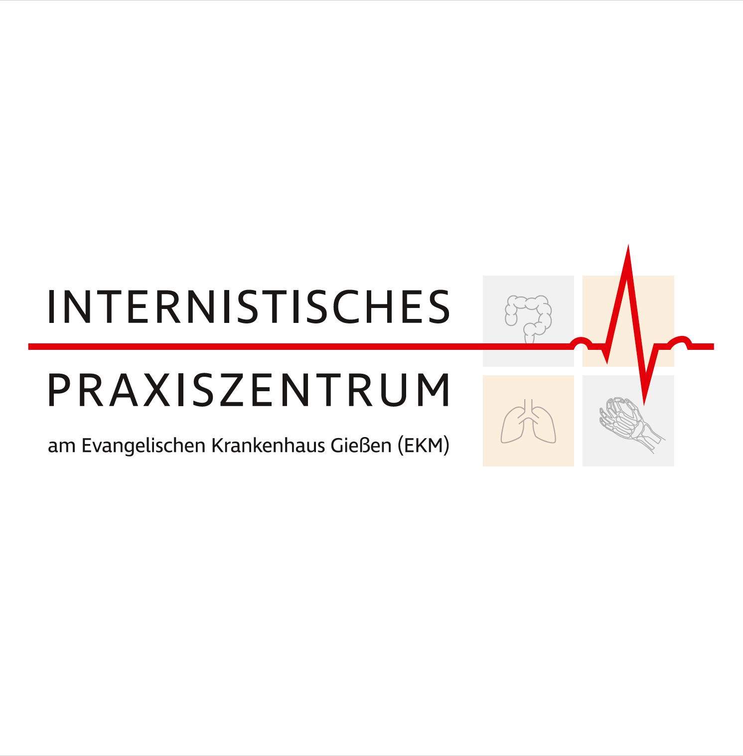 logo_ipz_4c